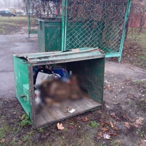 Мёртвого барана нашли в мусорном контейнере в Губкине