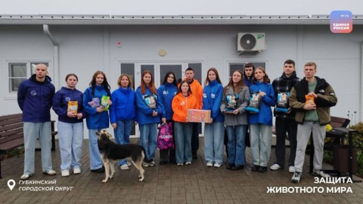 Каждому четвероногому – дом и любовь