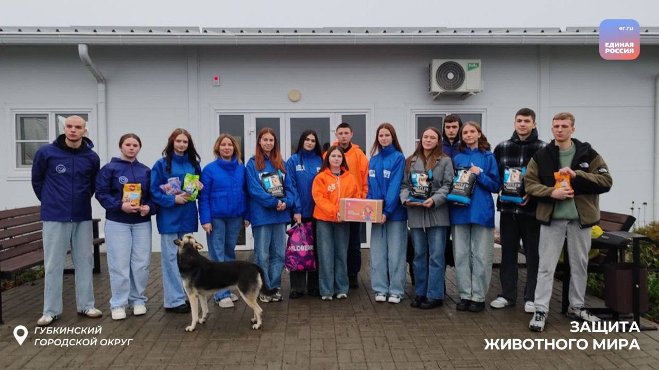 Каждому четвероногому – дом и любовь