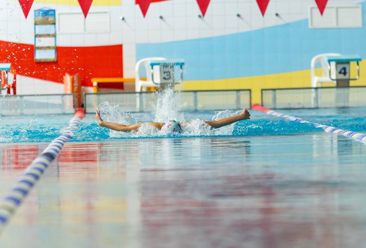 Олег Медведев: 29 ноября 2025 года в Белгороде состоялся Открытый Кубок по плаванию «Белгородская лига плавания», прошедший на базе бассейна УСК Светланы Хоркиной