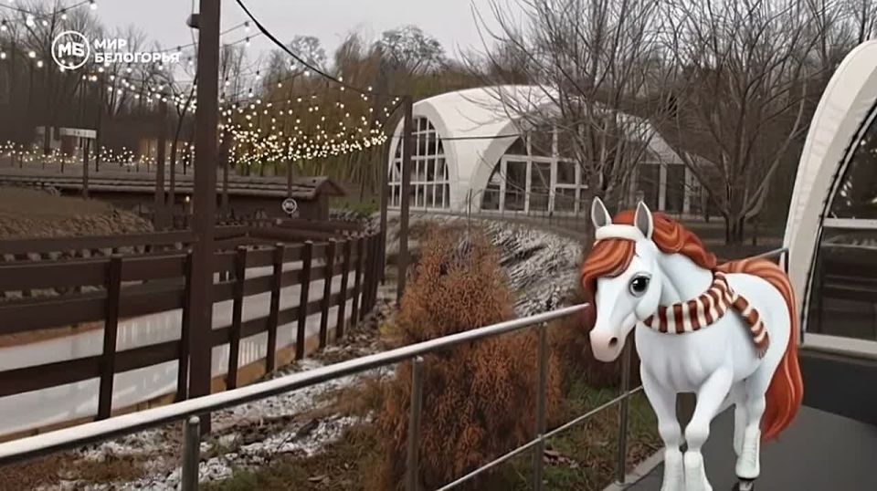 �� ������ ���� �������� 28 ����