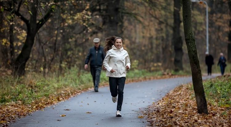 ����������� ����� ������������� ����� �������������� ���������