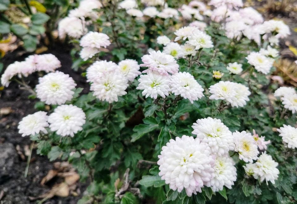 �������, 3 �������, ��� ��� �������� � ������������ ������