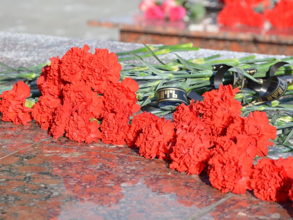 ��������� ������������!. 3 ������� ������ �������� ������ �������� ���� � ���� ������������ �������