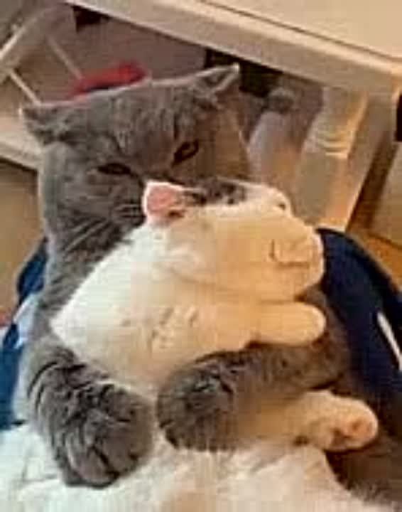 Сегодня – День объятий!. В этот день можно обнять не только близких, но и любого человека – с его согласия, конечно