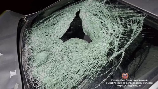 #СВОДКА_ДТП. По предварительным данным, вчера около 16 часов 55 минут на 1 км автодороги «Яблоново - Большая Халань» 43-летний водитель, управляя автомобилем «Дачия Логан», совершил наезд на 63-летнего пешехода, двигавшегося...