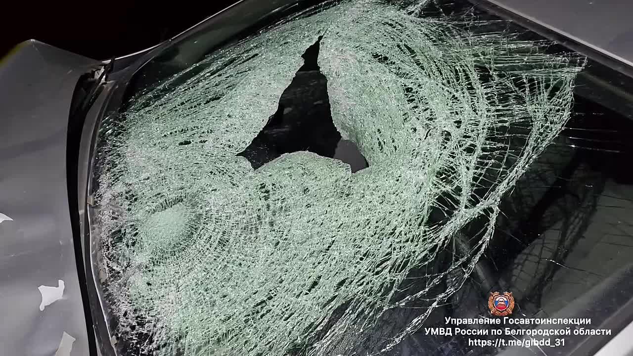 В Корочанском округе в ДТП погиб пешеход