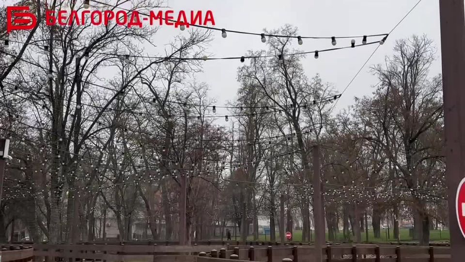 В Белгороде готовят к открытию катки