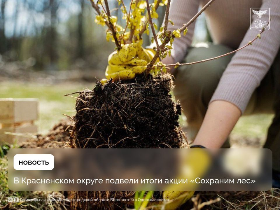 � ����������� ������ ������� ����� ����� ��������� ���