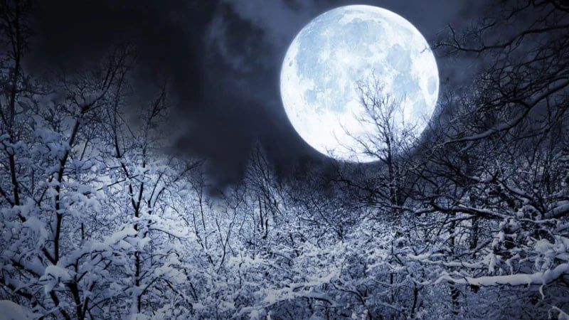 5 декабря белгородцы смогут увидеть последнее полнолуние этого года