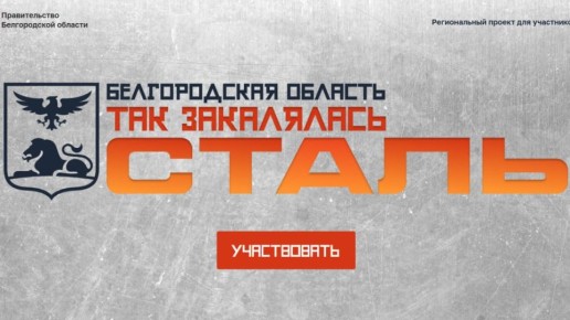 Участники проекта «Сталь» встретятся с главами муниципалитетов и министрами