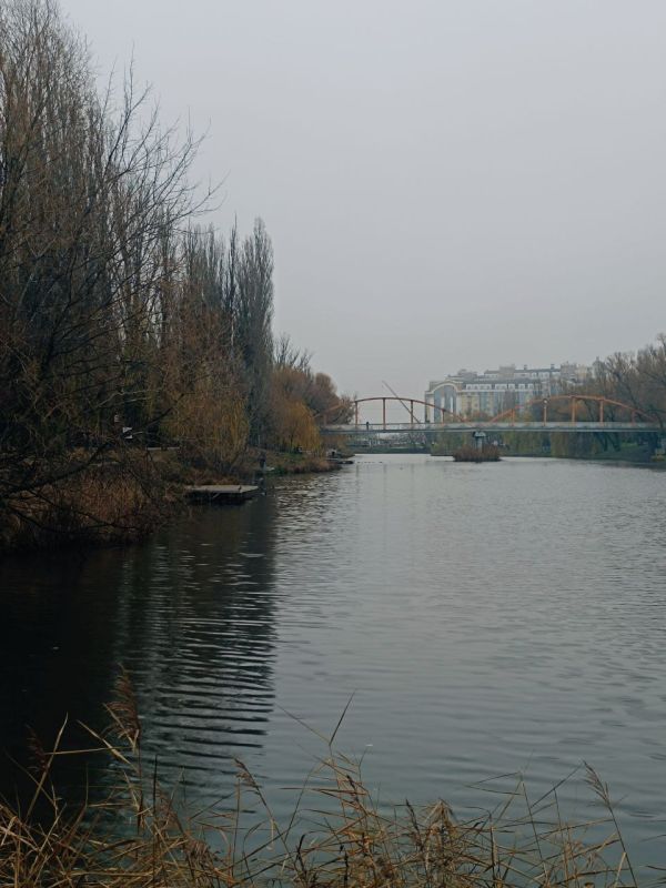 Сегодня, 5 декабря, в Белгороде будет пасмурно