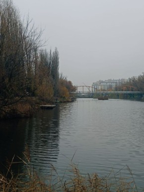 Сегодня, 5 декабря, в Белгороде будет пасмурно
