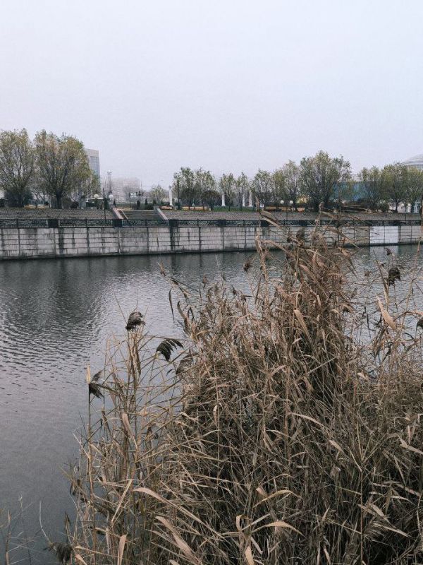 ������� �� ����������!. ������ ����� �������������� �������� �������� ��� �� ������, ��� �� ����� �������