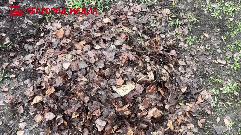 На улицах Белгорода коммунальщики продолжают сезонные работы