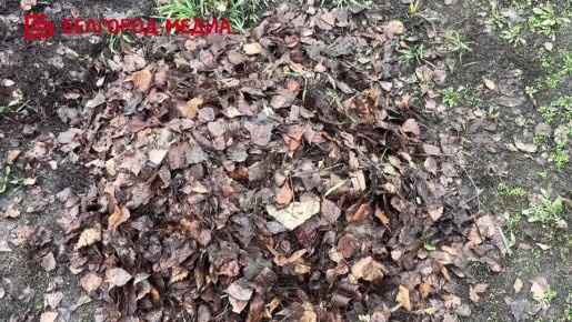 На улицах Белгорода коммунальщики продолжают сезонные работы