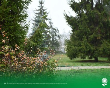 5 декабря. Температура воздуха 2°C, переменная облачность, без осадков