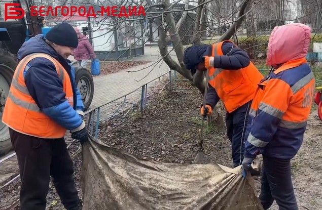 �������� ��������� ������������� ���������� �������� ������