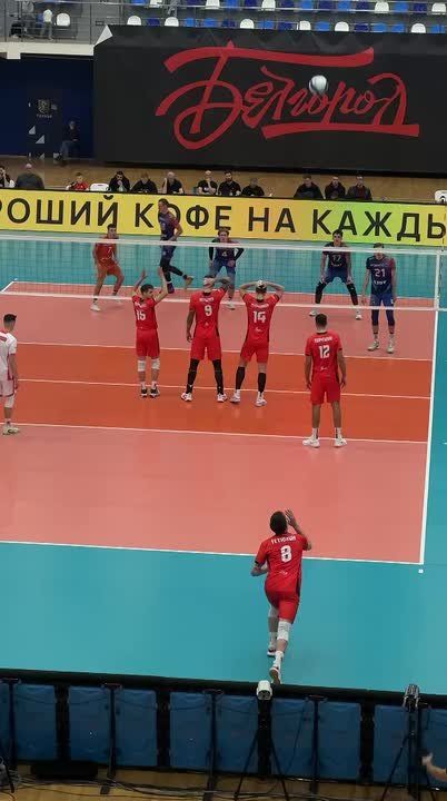 Белгородские волейболисты одержали восьмую победу в чемпионате России