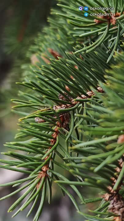 ������ ����, ������� �������������!