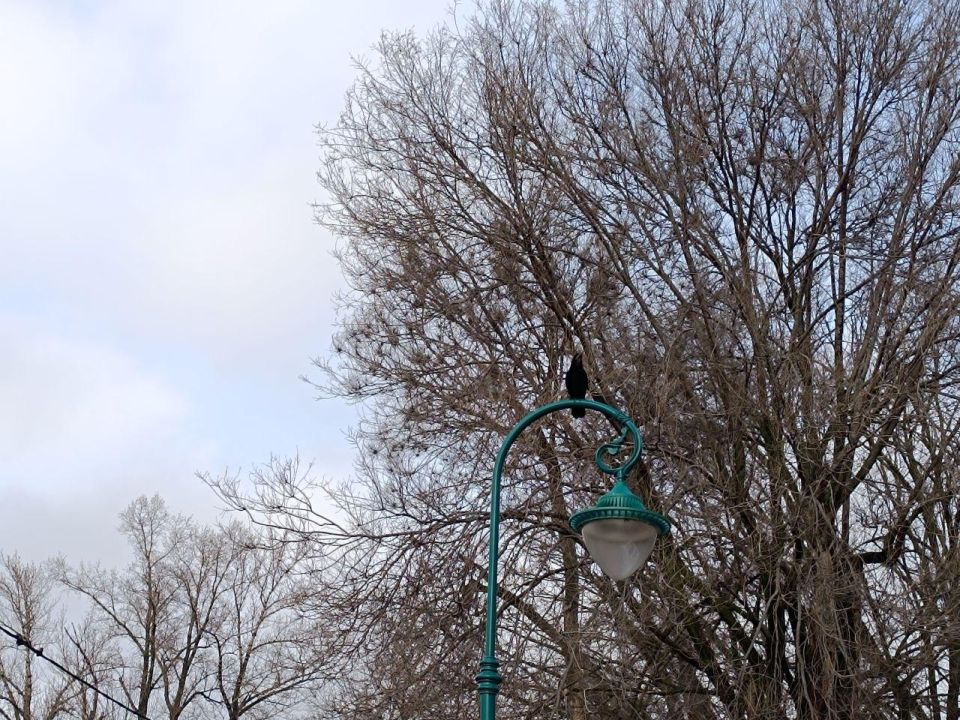 Сегодня, 6 декабря, в Белгороде будет переменная облачность