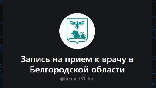 Белгородцы могут записаться к врачу через чат-бот в MAX