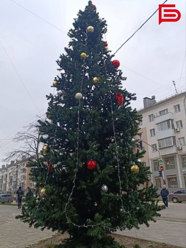 Белгород вовсю готовится к Новому году