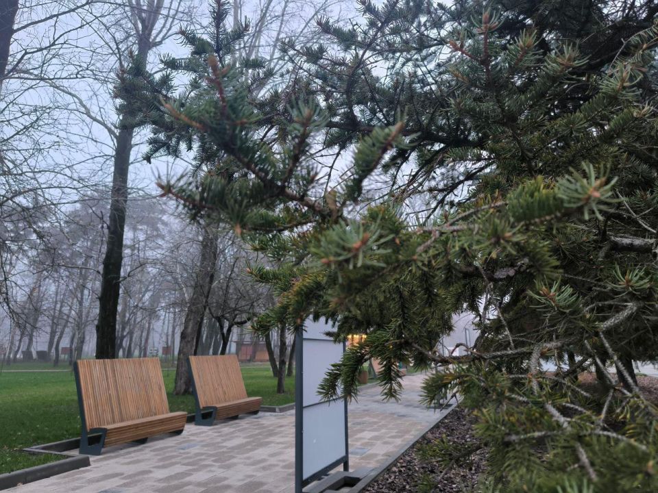 Сегодня, 7 декабря, в Белгороде будет ясная погода