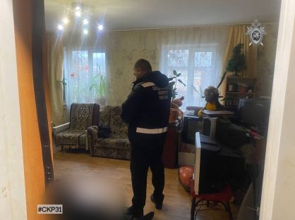 Жительница поселка Пролетарский, обвиняемая в убийстве бывшего супруга, заключена под стражу