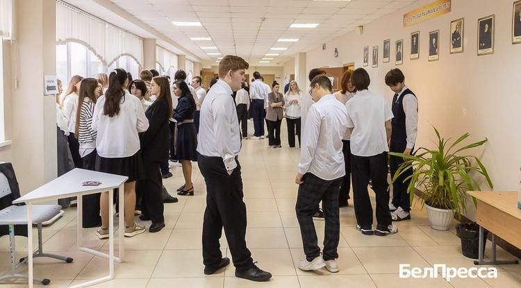 В Белгородской области с 2026 года планируют запустить цифровой профиль здоровья ребёнка