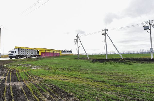 Белгородские энергетики обеспечили электроснабжение крупного объекта агропромышленного комплекса
