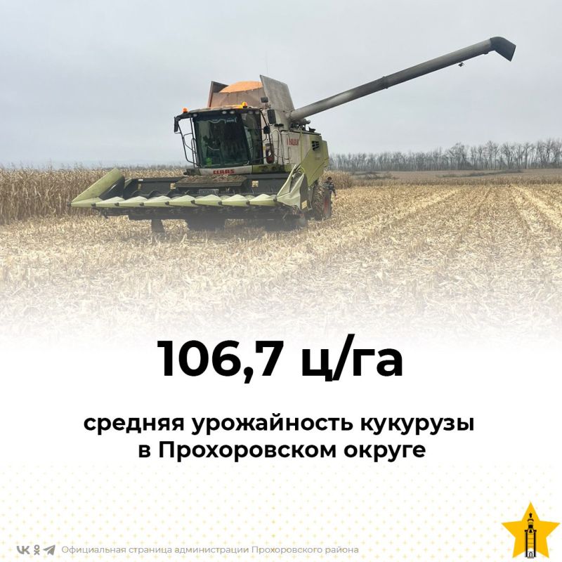 Уборка кукурузы — на финишной прямой!