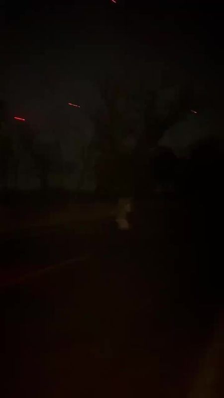 Работу бойцов, которые защищают Белгородскую область, показали в прямом эфире