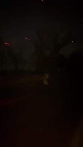 Хроника жизни белгородского приграничья: кадры работы бойцов, защищающих регион, показали на заседании правительства