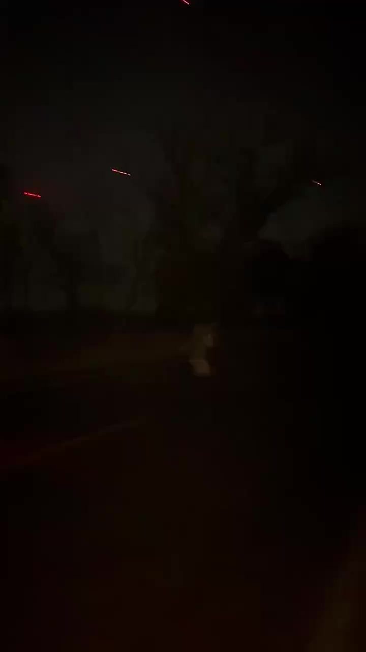 Хроника жизни белгородского приграничья: кадры работы бойцов, защищающих регион, показали на заседании правительства