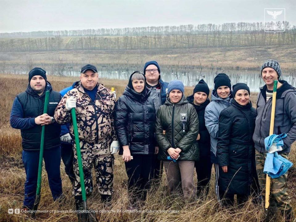 Саженцы сосны и дуба высадили в Белгородской области