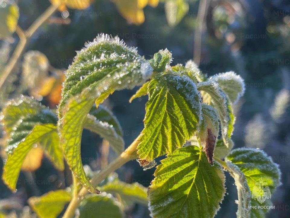 Завтра в регионе ожидаются небольшие осадки в виде снега