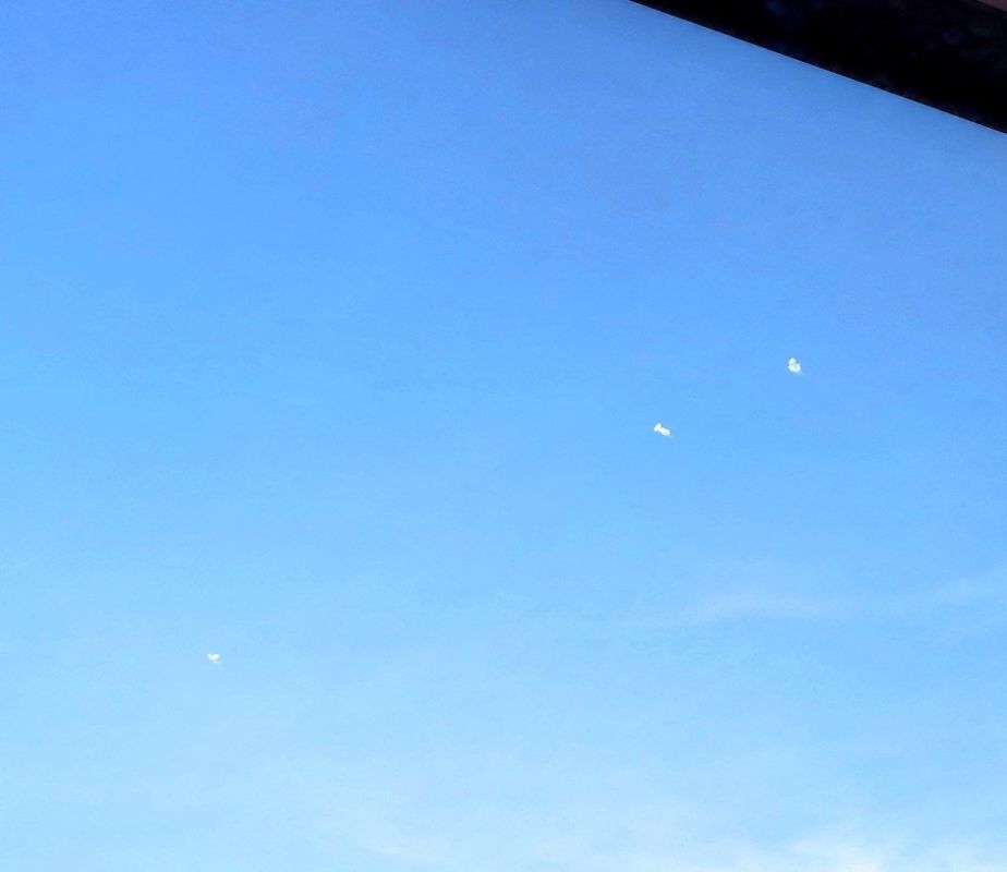 ������� ���������: �������� ����� �� ��������