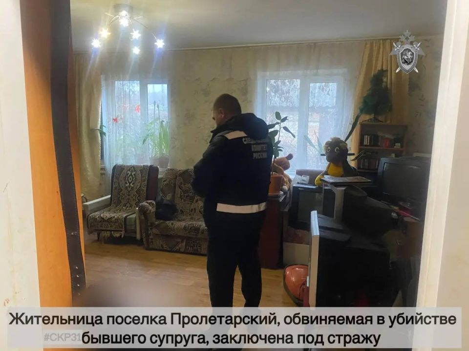 Жительница поселка Пролетарский, обвиняемая в убийстве бывшего супруга, заключена под стражу