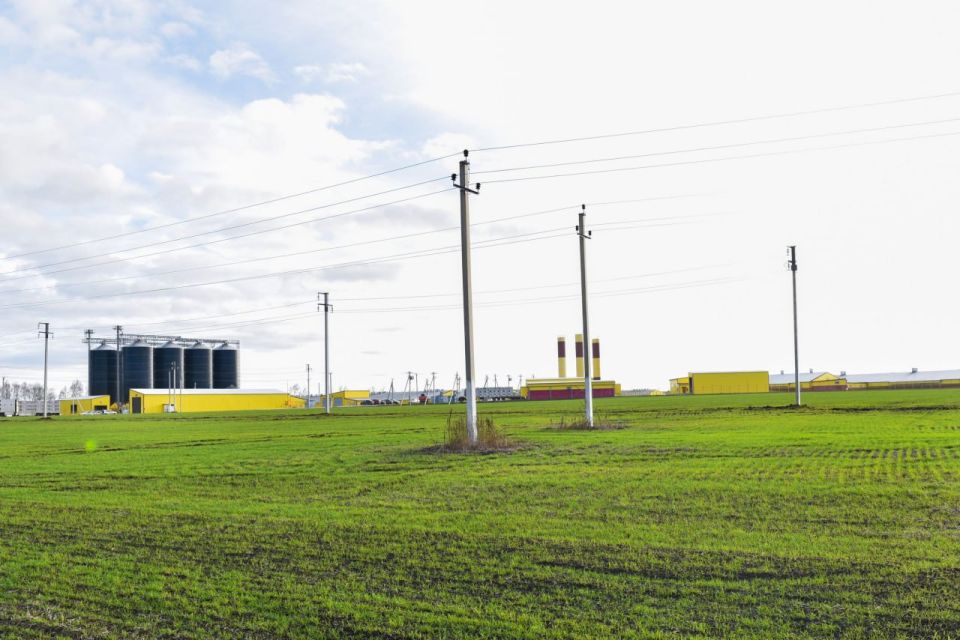 Крупный свинокомплекс в Белгородской области обеспечен электроэнергией