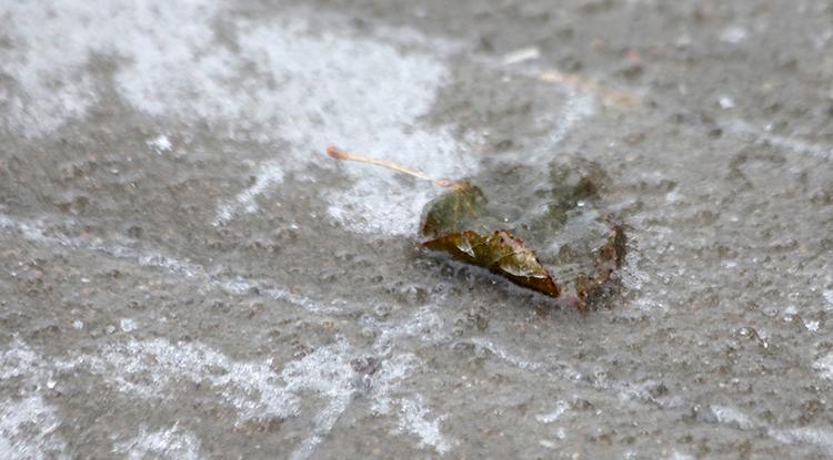 МЧС предупредило белгородцев о гололёде и тумане