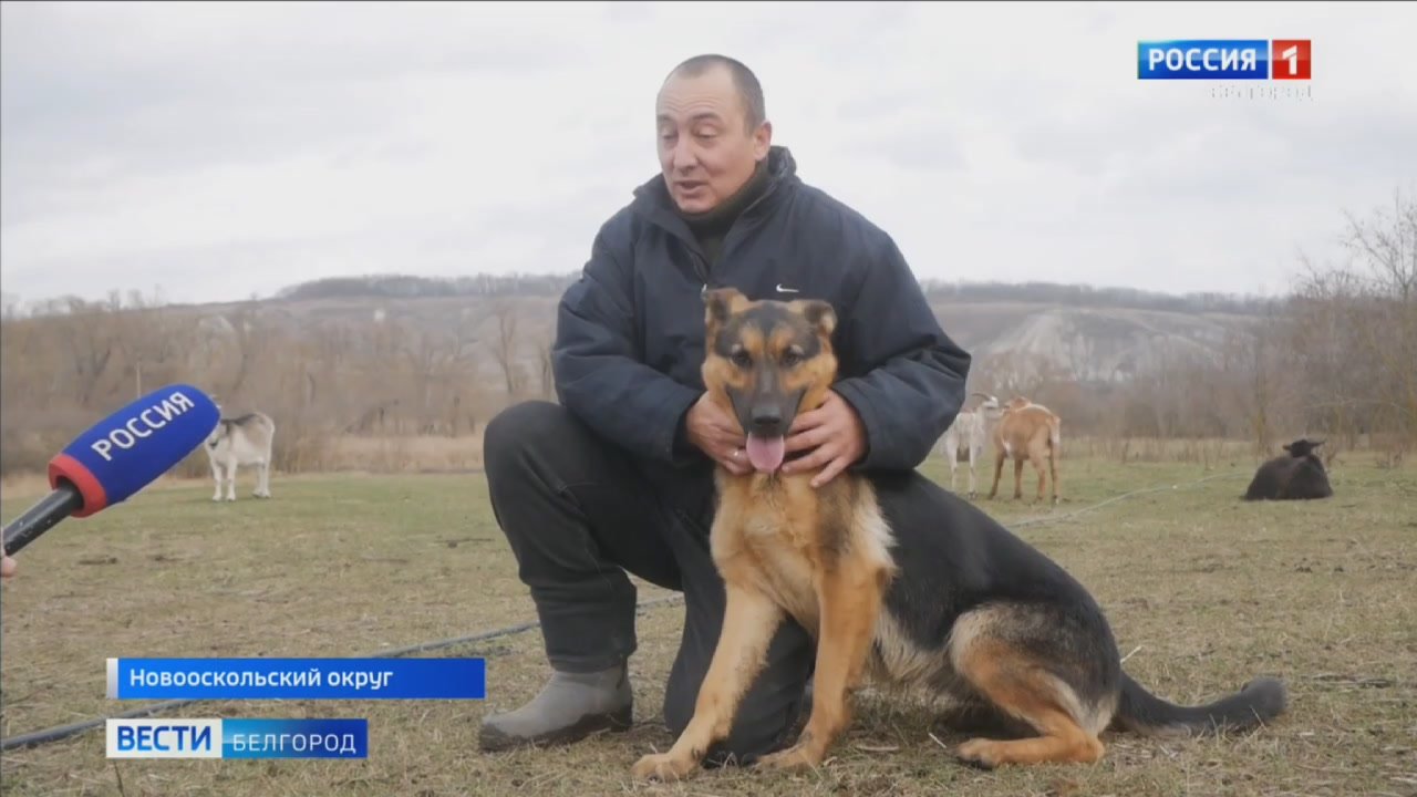 Сначала были козы, потом – несколько овец, а сейчас личное подсобное хозяйство только расширяется