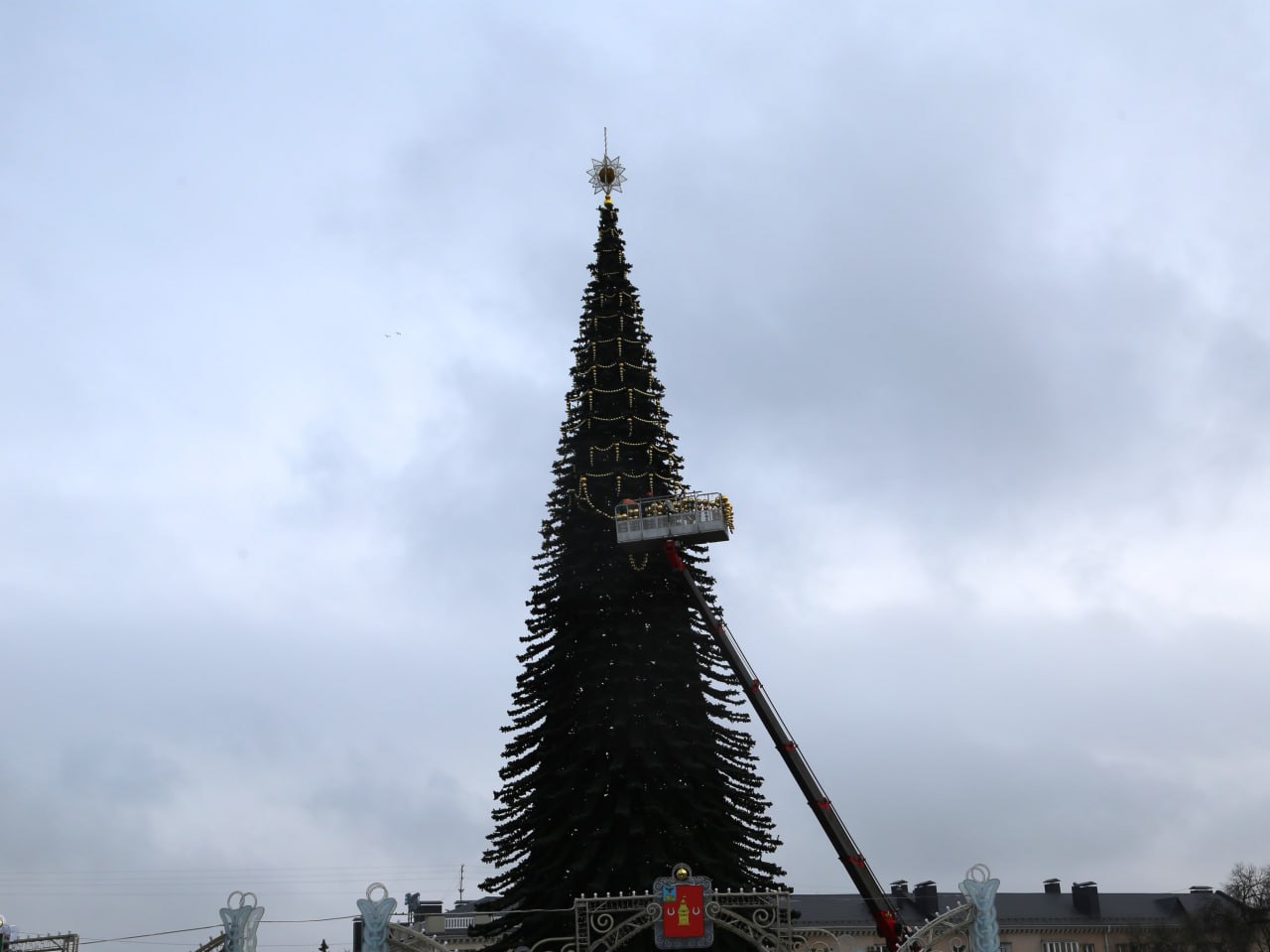 Ёлочные базары в Белгороде заработают с 19 декабря