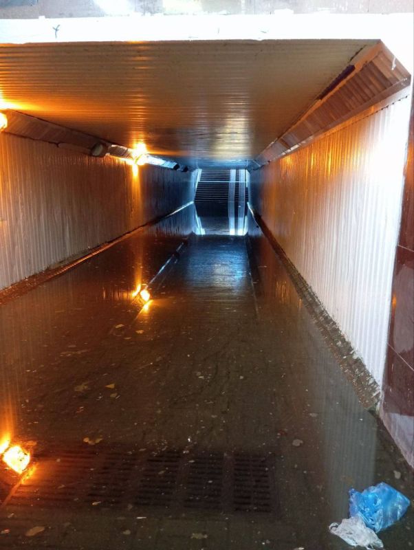 ����������� ��������������������� ��������� ����������� � ��������� ���������� �������� ����� ����� ���������