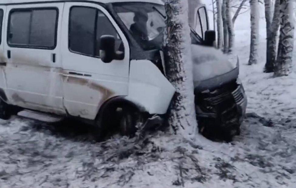 В Белгородской области в ДТП с "Газелью" пострадали семь человек
