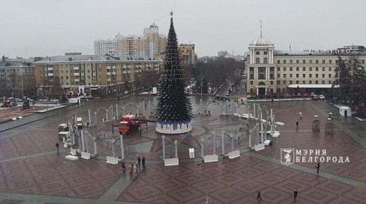 Главная новогодняя ель области готова на 85%