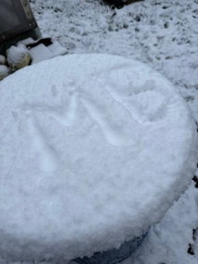 ������ ������ �� ����� �����������, ������� ������ ������� ���� ���������� ������ �������� �������