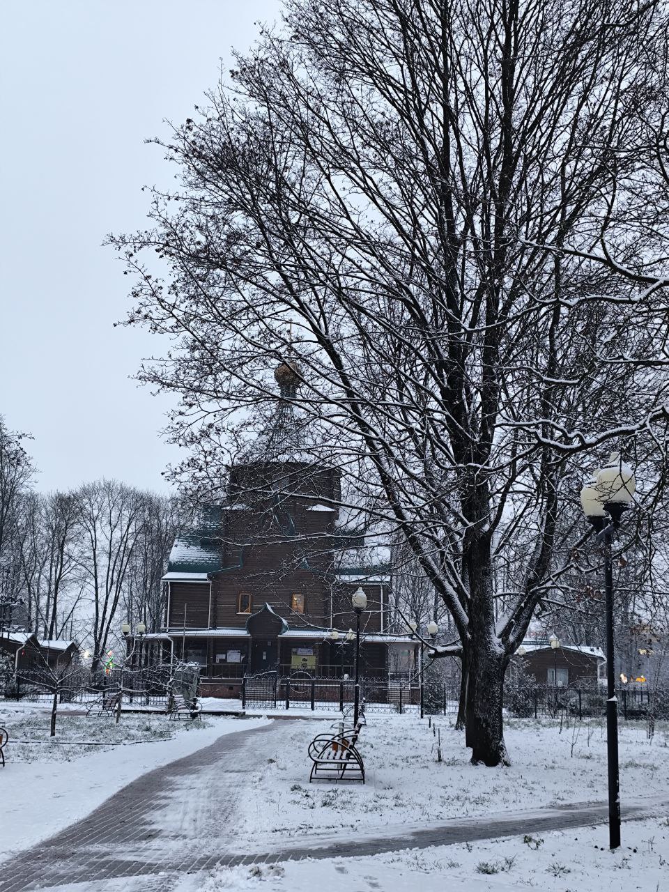 В Белгороде вместо подснежников – тюльпаны