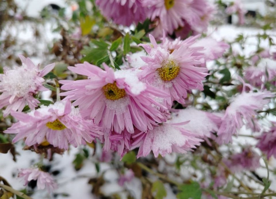 �������, 10 �������, ����� �������