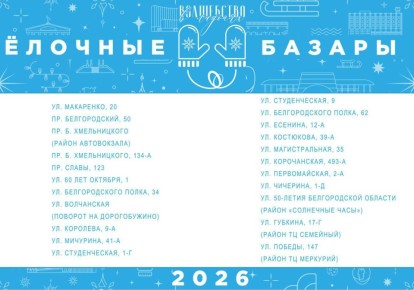 22 ёлочных базара начнут работу в Белгороде с 19 декабря